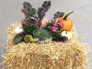 Fall Container Garden Class