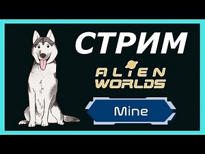 Смотрим новые проекты WAX | Отвечаю на вопросы