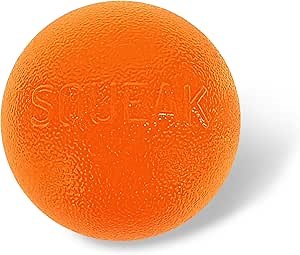 Outward Hound by Planet Dog Squeak Ball Bouncy Fetch Dog Toy, Orange