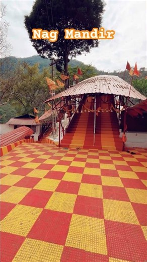 Nag Mandir Near Tenga 🛕 | Hidden Temple in Arunachal Pradesh #shorts #reels #arunachalpradesh