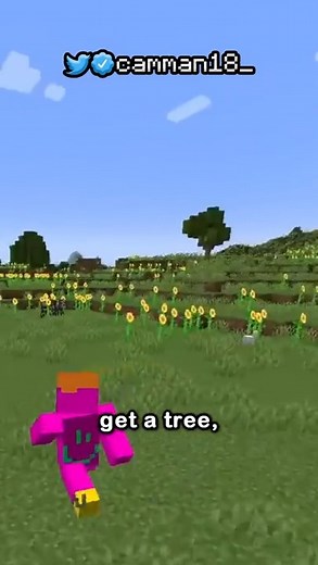 what if every block had gravity? . . . . . . . . #minecraft #minecraftbuild #minecraftmemes #minecraftart #minecraftserver #minecraftseeds #minecraftpe #minecraftmods #minecraftskins #minecraftstorymode #minecraftdungeons #minecrafteducation #minecraftjava #minecraftpocketedition #minecraftxbox #minecraftswitch #minecraftpc #minecraftrealms #minecrafteducationedition #minecraftforeducation #minecraftcommunity | Camman18