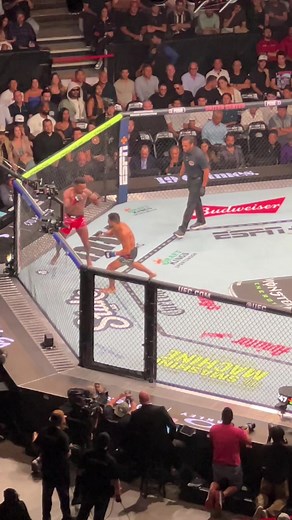 Arron Pico Gets Spinning KO’d at UFC 319