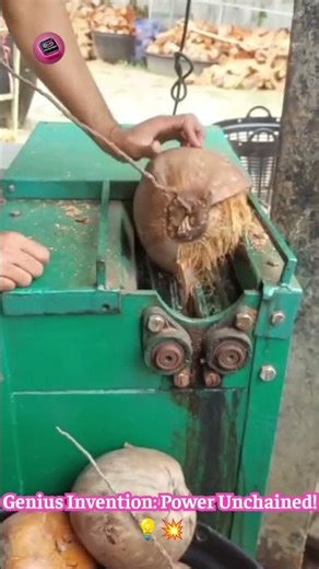 Coconut Peeler PRO: This Machine Strips Dried Coconuts In SECONDS! #FarmTech #FoodPrep 🥥⚙️🤯