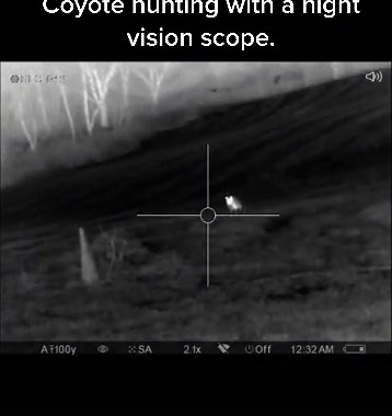 Unique Night Vision Hunting Invitation with Coyotes