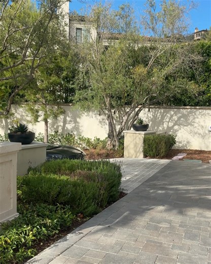 Simeon Panda on Reels