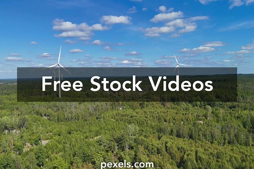 Pixabay Mixkit Videos, Download The BEST Free 4k Stock Video Footage & Pixabay Mixkit HD Video Clips