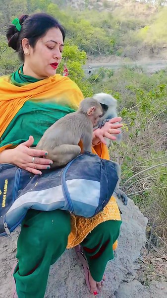 Brave Baby monkey 🐒🐵 #shorts #wildlife #cuteanimals #monkey