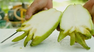 Why Buddha's hand citron is so expensive