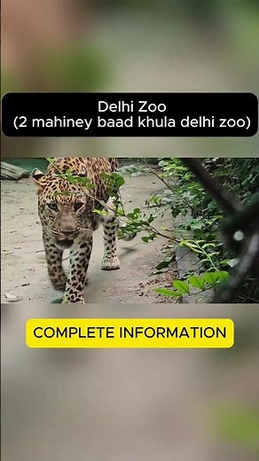 Delhi Zoo Reopen Ho Gaya! 😍 Full Tour & New Updates | Delhi Ka Chidiyaghar