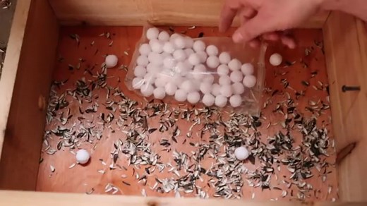 Do moth balls repel mice?