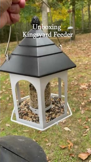 Welcome the New Year with Birdwatching Time Using Kingsyard Feeder! #Kingsyard #Birdfeeder #Birds