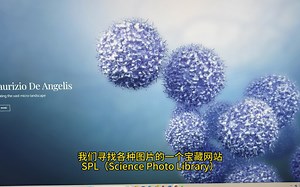 分享一个科研视觉宝库 Science Photo Library。这个图片素材库拥有超全科目、超多种类的科学图片，为科研提供丰富而多彩的素材参考