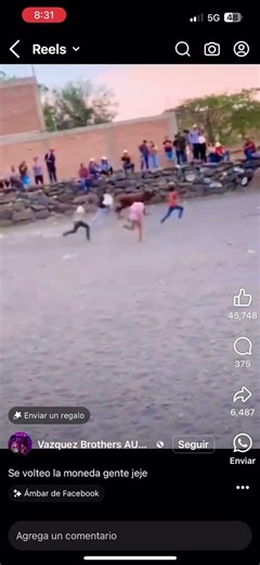 Toro hay viral toro rally #Shorts #elviolento1