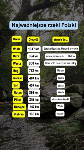🌊 Najważniejsze rzeki Polski 🇵🇱 #Polska #Rzeki #Wisła