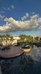 A monorail ride through Epcot! I love the monorail shadow on the building at the start of the reel. #monorailmonday #epcot #seewdw | See WDW