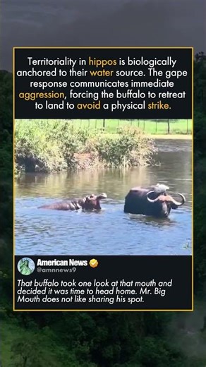 THE BIOLOGY OF THE HIPPO THREAT