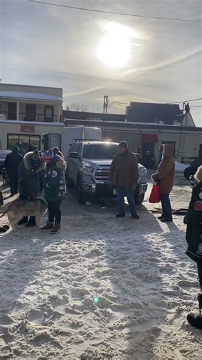 Build Your Own Sled Dog Team with Huskies