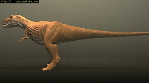 Tyrannosaurus Rex 3D animation