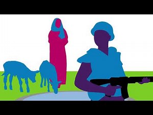 Conseiller(ère) Militaire En Matière De Genre - Formation En Ligne