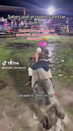 Videos de Adonis_obregon🍀 (@adonis_obregon0) con “Guayabita Madura - Lisandro Meza”