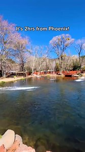 406K views · 9K reactions | Have you been to Rainbow Trout Farm?   One of the coolest and least expensive experiences in Sedona! Tag a friend! #welcometoarizona #sedona #fishing #familyfun #travel #usa #viral | Welcome to Arizona | Facebook