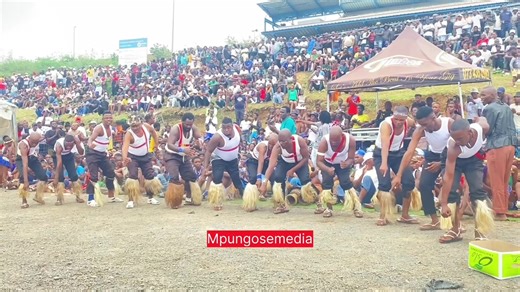 mpungose media (@mpungose.media.pro)’s videos with original sound - mpungose media