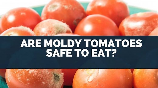 Are Moldy Tomatoes Safe To Eat? [Can You Cut It Off]