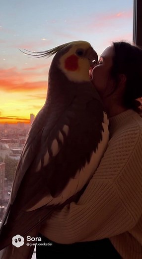 A Bird Lover's Dream: Caring for Cockatiels and Parrots