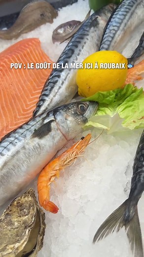 🌊 Le goût de la mer, ici à Roubaix. Poisson frais, cuisson minute, produits d’exception et ambiance immersive. Chez Calypso, on ne fait pas semblant — on vous sert la mer, pour de vrai. 🐟⚓️ 📍38 rue de l’Epeule, Roubaix 🪑 130 places assises 🌐 Réservez dès maintenant sur calypso-restaurant.fr #FYP #Roubaix #TikTokFood #Poisson #PourToi