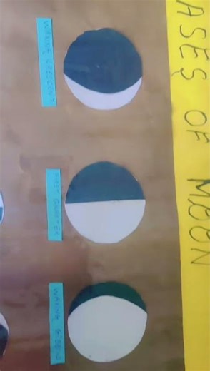 Phases of Moon#science#TLM