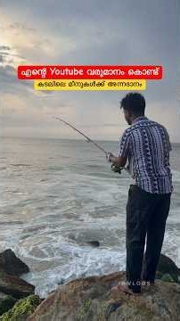 എന്റെ Youtube വരുമാനം കൊണ്ട് മീനുകൾക്ക് അന്നദാനം കൊടുത്ത കഥ #lifestyle #vlog