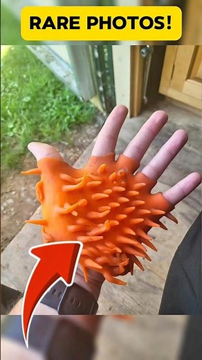 Rare Photos You Won’t Believe Exist!🤯