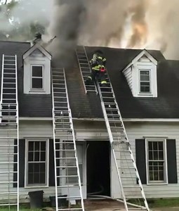 You want to make a Truckie happy. Give them some ladders, hand tools, saw and let them work. “Make the house look like a ladder store” #🎥 @iaff5271 on IG Bear Tree Care LLC | The Hook & Can
