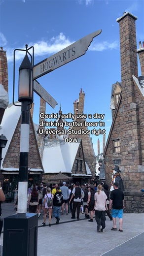 Exploring the Harry Potter Area at Universal Studios