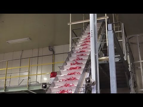 「キットカット」オンライン工場見学 4. 包装ライン