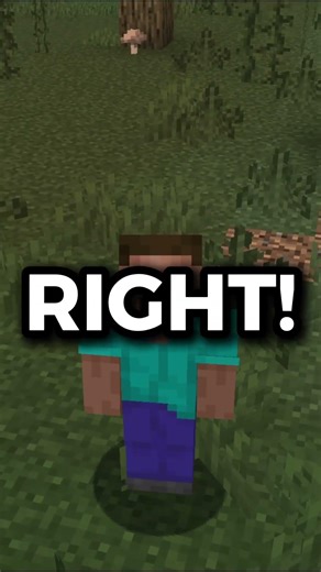 What is the most popular Minecraft server? #minecraft #minecraftserver #MC #minecraftjava