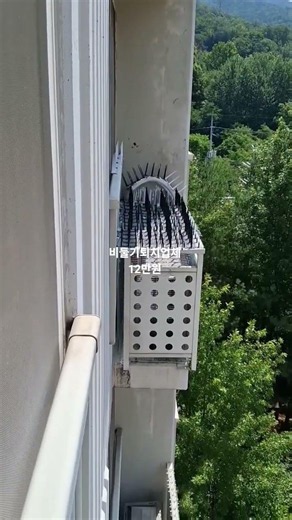 비둘기퇴치방법