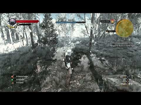 The Witcher 3 - Contract Swamp Thing: Navigate Illusions (Illusionary Wall Location) Foglet Combat