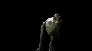 clip-13867409-realistic-animations-dinosaur-tyrannosaurus-rex-3d-render
