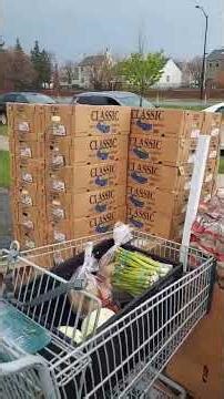 CD Free Groceries Program Today! Everyone is welcome - Detroit❤️ #covenantdaughtersintl