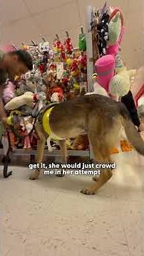 Guy Gets Stood Up — So He Takes the Real Love of His Life On A Date | The Dodo