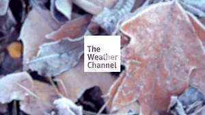 Model Comparison on Next Week's Snowfall