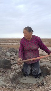 660K views · 6.5K reactions | Өмнөговь аймгийн Гурвантэс сумын хоёрдугаар багийн малчин, давс олборлогч Б.Цогзолмаа 蘭☘ Давс үүрсэн 40 жил https://ergelt.mn/news/21/single/28029 | Ergelt.mn | Facebook