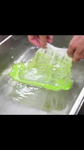 レタスの食品サンプル：Lettuce fake food