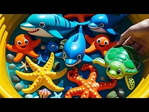 Sea Animal Toys Unveiled: Eel Fish, Clown Fish, Octopus, Shark, Starfish, Dolphin, Seahorse