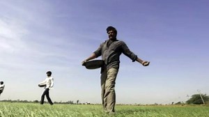 Crop insurance claims for 2020 21 fall by over 60% YoY to Rs 9,570 crore  - BusinessToday