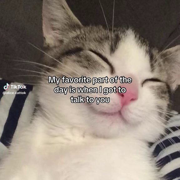 relatable? #fyp #relatable #cattok #couple #rizz