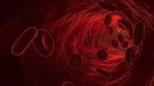 Hématies élevées ou basses : normes, taux trop haut, trop bas, quelle signification ?