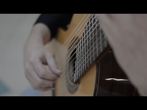 J.S.Bach - Chaconne - 11 string guitar