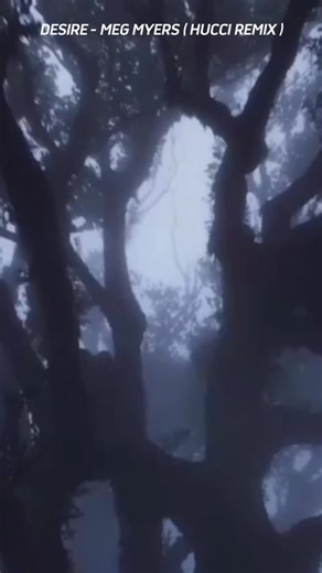 Desire - Meg Myers (Hucci Remix)